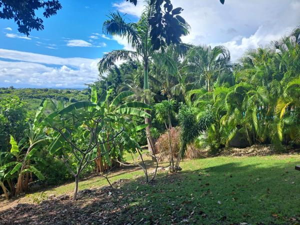 Propriété d’exception à la vue mer panoramique – Élégance créole et art de vivre tropical