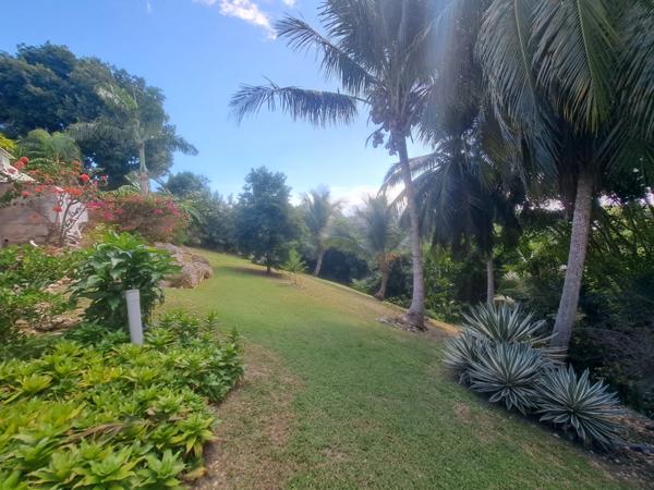 Propriété d’exception à la vue mer panoramique – Élégance créole et art de vivre tropical