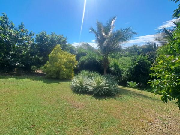 Propriété d’exception à la vue mer panoramique – Élégance créole et art de vivre tropical
