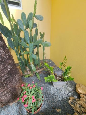 Propriété d’exception à la vue mer panoramique – Élégance créole et art de vivre tropical