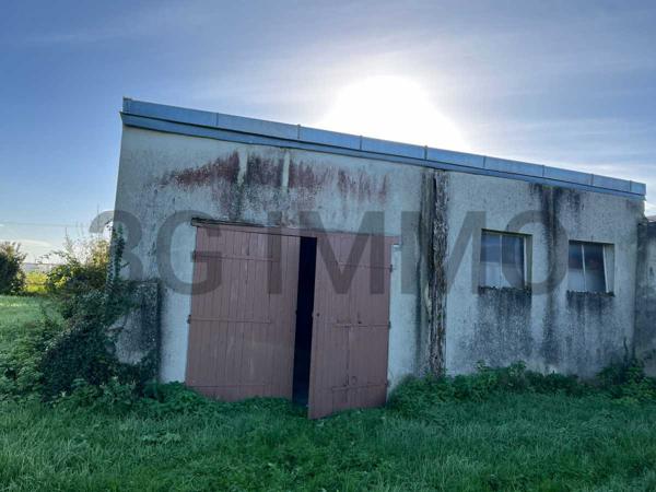 Vente / Maison et grand terrain