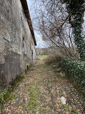 THIEZAC