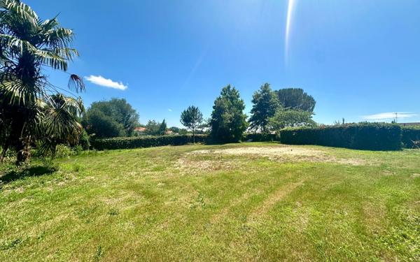 Terrain à vendre    Saugnac-et-Cambran