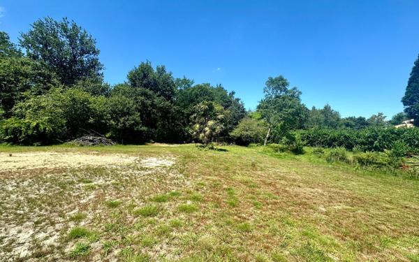 Terrain à vendre    Saugnac-et-Cambran