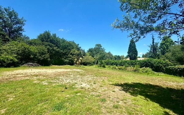 Terrain à vendre    Saugnac-et-Cambran