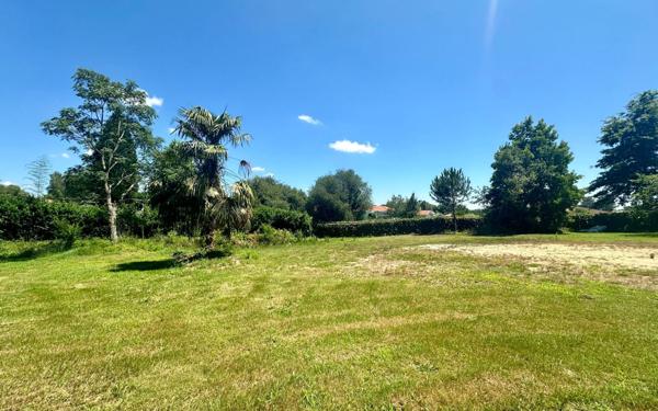 Terrain à vendre    Saugnac-et-Cambran