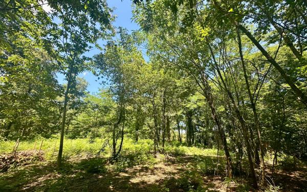 Terrain à vendre    Saugnac-et-Cambran