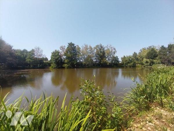 Sur la commune de BOURGON, à vendre terrain de loisirs comprenant une pièce d'eau empoissonnée ...