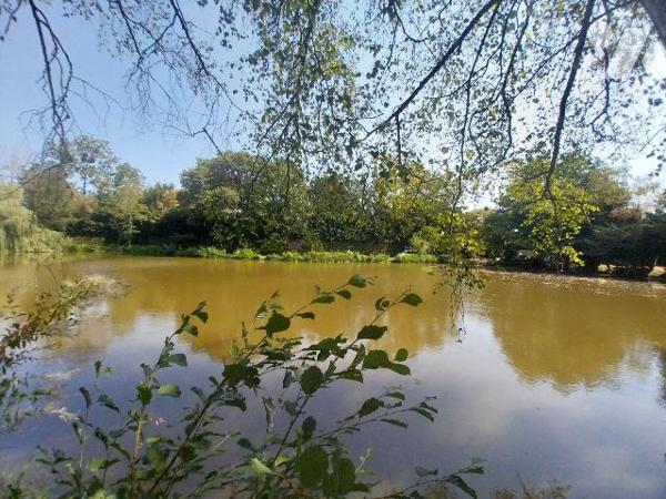 Sur la commune de BOURGON, à vendre terrain de loisirs comprenant une pièce d'eau empoissonnée ...