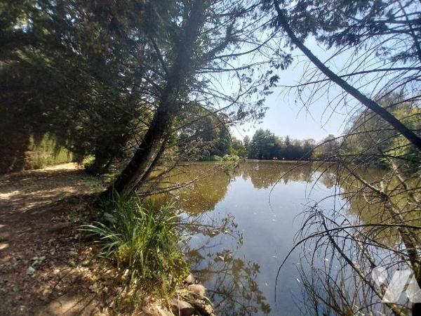 Sur la commune de BOURGON, à vendre terrain de loisirs comprenant une pièce d'eau empoissonnée ...