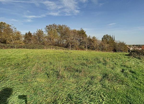 Terrain à vendre    Lamarche-sur-Saône