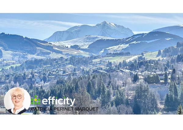 Maison 12 pièces - 243 m² Bien prestige