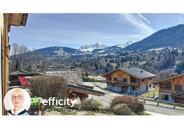 Maison 12 pièces - 243 m² Bien prestige