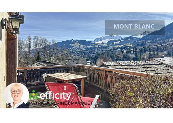 Maison 12 pièces - 243 m² Bien prestige