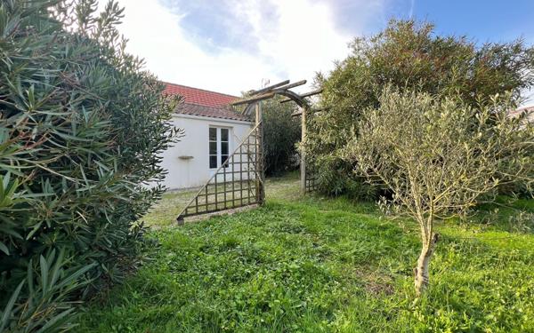 Maison à vendre    4 pièces •  Dolus-d'Oléron