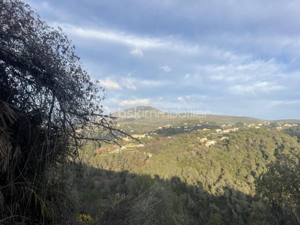 Maison de 499,99 m²