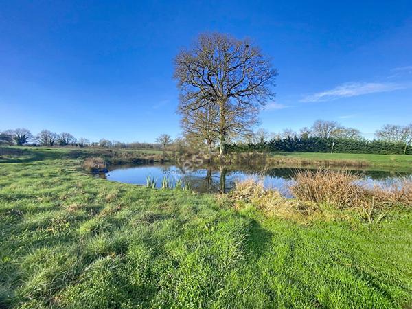 Propriété de charme avec practice de golf, gîtes et 7 hectares de nature à St Fort (Mayenne).