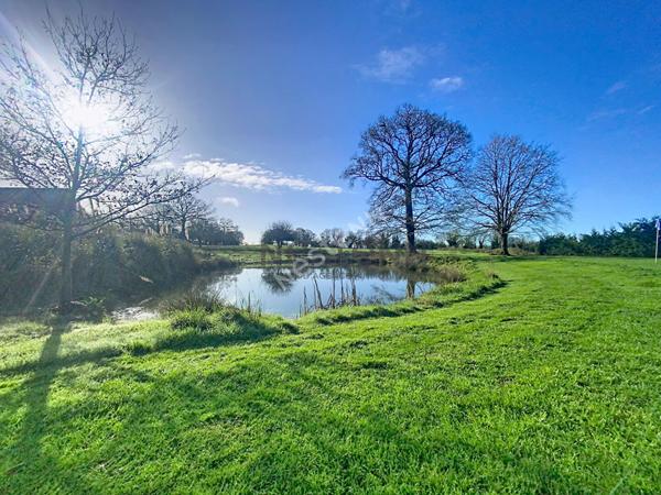 Propriété de charme avec practice de golf, gîtes et 7 hectares de nature à St Fort (Mayenne).