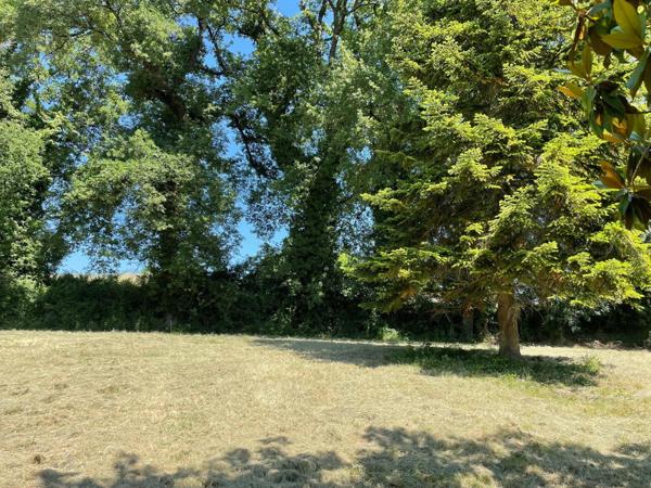 Petit havre de paix à Lauraët sur un parc arboré de 2700 m2 environ