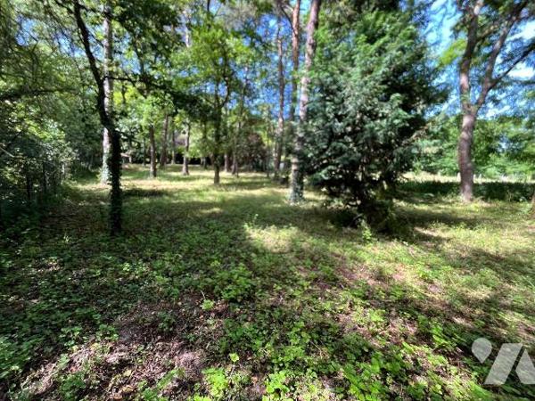 TERRAIN DE LOISIRS - VENTE - LARCHANT

Terrain de loisirs d'une superficie d'environ 3 579 m²...