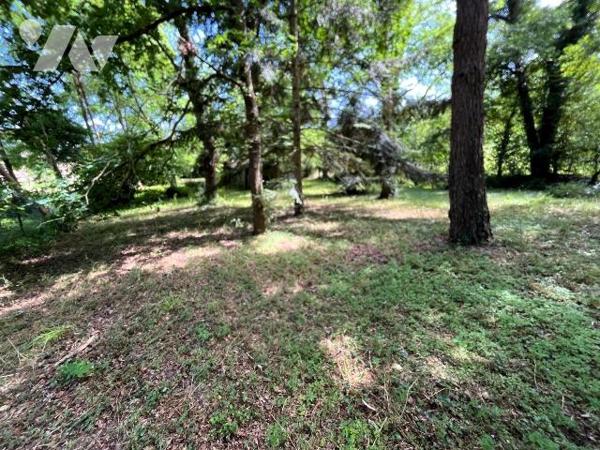 TERRAIN DE LOISIRS - VENTE - LARCHANT

Terrain de loisirs d'une superficie d'environ 3 579 m²...
