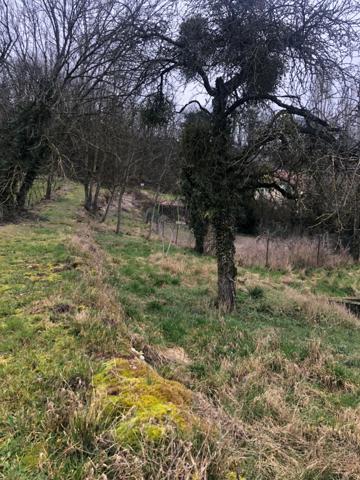 Grange avec cour et jardin proche MONTBARD (21500)