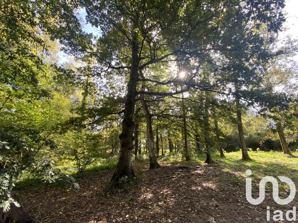 Maison à vendre 10 pièces 220 m² Plémet