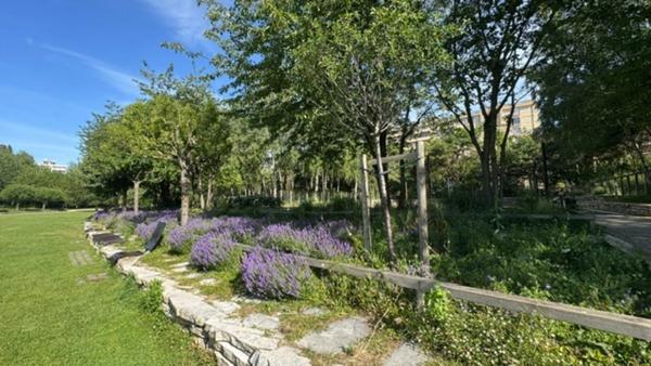 3 PIÈCES 66 m² – BALCON – LUMINEUX – SANS TRAVAUX- MAISONS ALFORT (94)