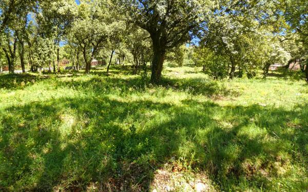 Terrain à vendre