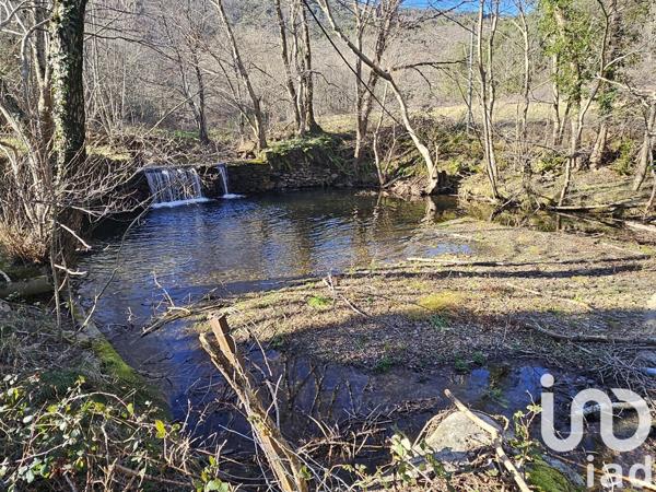 Maison de campagne 17 pièces de 311 m² à Saint-Pons-de-Thomières (34220)