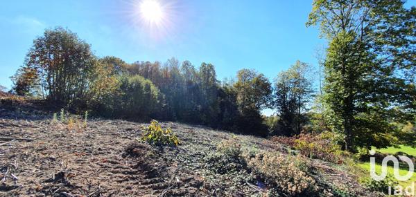 Terrain à vendre 2 500 m² Albussac