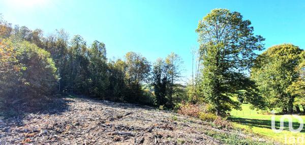 Terrain à vendre 2 500 m² Albussac