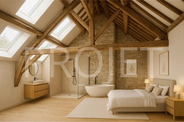 Combles aménageables - 210 m² - St GENIX LES VILLAGES