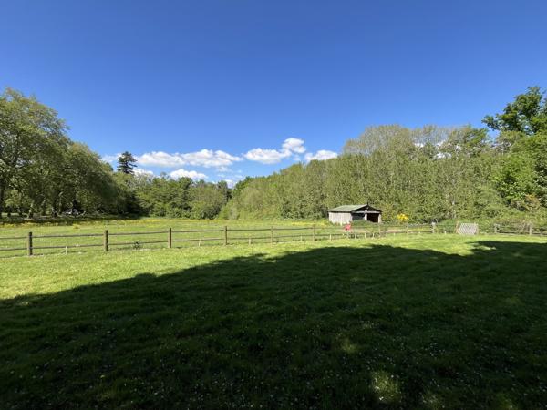 Gennes (49350) REF 88686 PROCHE SAUMUR , Magnifique domaine de chasse de 130 hectares , avec gîte , salle de réception rela