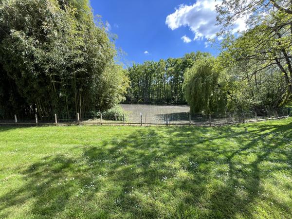 Gennes (49350) REF 88686 PROCHE SAUMUR , Magnifique domaine de chasse de 130 hectares , avec gîte , salle de réception rela