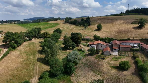 VIOLAY (LOIRE) CORPS DE FERME HABITATION , ETABLE GRANGE ET HANGAR
