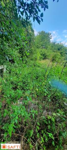 Maison atypique à rénover sur Pont Sur Yonne