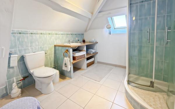 Maison à vendre    8 pièces •  Chabris