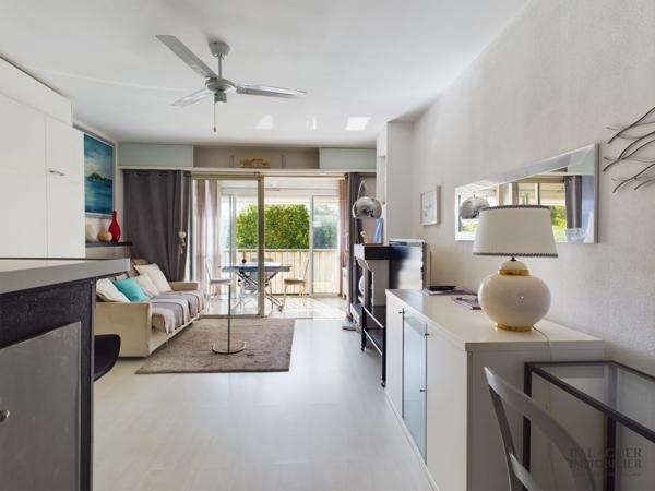 Le brusc (83140) LE BRUSC Appartement 34m² - Cheminée et Loggia - Lumineux et Idéalement Situé -