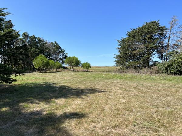 Maison d’architecte de 146M2 avec piscine, au calme du marais