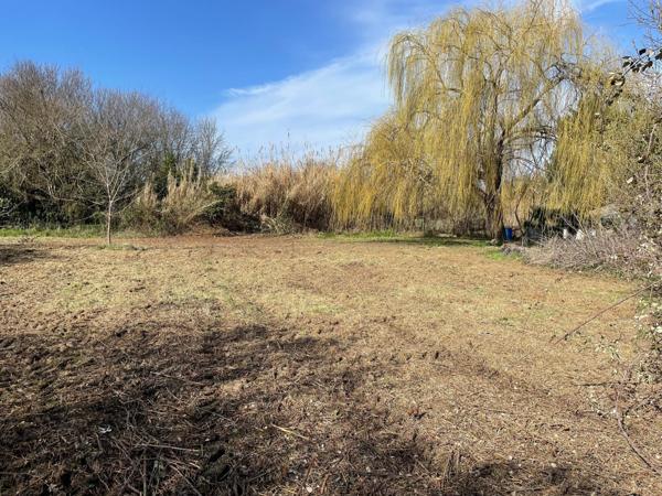 Maisons T2 + T3 + T4 + 2000 m2 terrain constructible