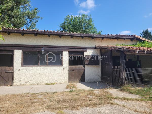 A proximité de Montauban, aux abords du joli village de Lafrançaise, découvrez cette magnifique maison à vendre, nichée dans un environnement verdoyant et paisible. Construite vers 1900, elle offre une ambiance chaleureuse et authentique, idéale pour les amoureux de l'ancien et ceux à la quête de tranquillité.

Spacieuse et lumineuse, cette demeure s'étend sur près de 370  m² et comporte 8 pièces principales dont 4 chambres et 1 bureau offrant de nombreuses possibilités d'aménagement selon vos envies. Les matériaux utilisés ajoutent une touche d'élégance et de charme à chaque espace. Son style d'époque et son authenticité historique en font un bien unique.

- plus de 8 hectares
- dépendances pour environ 200 m2 
- atelier pour plus de 45 m2
- pigeonnier d environ 50 m2
- cheminée
- piscine 
- sauna
- fibre
- puits
- adoucisseur d eau

Proche des commodités et facile d'accès, cette maison est une opportunité rare pour ceux qui souhaitent conjuguer espace, charme d'antan et cadre privé.
Contactez Maryline Estieu pour plus de détails sur cette magnifique acquisition.
