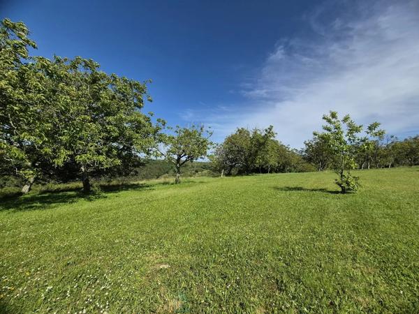 Superbe propriété en pierre de caractère avec gîte, annexe et vue dégagée