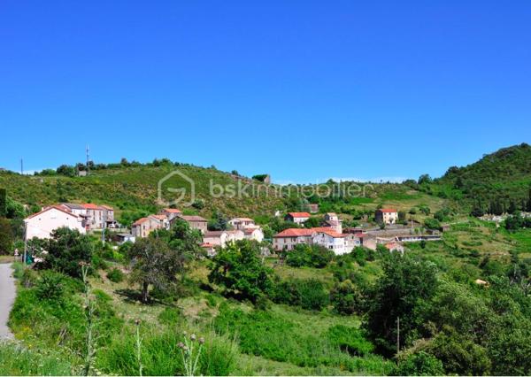 GIUNCAGGIU - Laissez-vous séduire par le charme et l'authenticité de cet agréable appartement T4 entièrement meublé, niché au dernier étage d'une bâtisse en pierres située dans le pittoresque village de Giuncaggio, à seulement 20 minutes d'Aléria, des plages de la côte orientale et à environ 40 minutes de Corte.

Dès l'entrée, vous apprécierez l'atmosphère chaleureuse et conviviale de ce bien de caractère. La cuisine équipée ouverte s'intègre harmonieusement à un vaste séjour/salle à manger agrémenté d'une cheminée, idéal pour partager de précieux moments en famille ou entre amis.

L'appartement dispose de deux chambres spacieuses. Un escalier en bois mène à une troisième chambre mansardée, généreuse et pleine de charme, offrant un espace supplémentaire idéal pour accueillir famille, amis ou aménager un bureau.

Depuis les fenêtres, profitez d'une vue imprenable sur les montagnes environnantes ainsi que sur la place du village et sa jolie église, véritable carte postale au quotidien.

Prestations de qualité :
Cheminée
Climatisation réversible
Doubles vitrages
Volets extérieurs en bois
Tommettes traditionnelles

Giuncaggio est un village à 600 m d'altitude où il fait bon vivre tout au long de l'année. Vous pourrez profiter de nombreuses animations locales qui rythment la vie du village : bal traditionnel, fête du vin et autres événements conviviaux qui font la richesse de l'art de vivre corse.
Un bien rare, alliant authenticité, confort et cadre de vie exceptionnel, idéal en résidence principale ou secondaire.
À découvrir sans tarder !

Pour toute information et visite contactez Pierrine MURRONI - BSK Immobilier : 0617092828