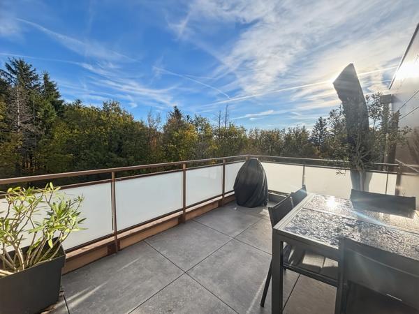 A VENDRE - Appartement T3 68m2 - GEX (01)