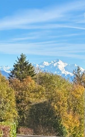 A VENDRE - Appartement T3 68m2 - GEX (01)