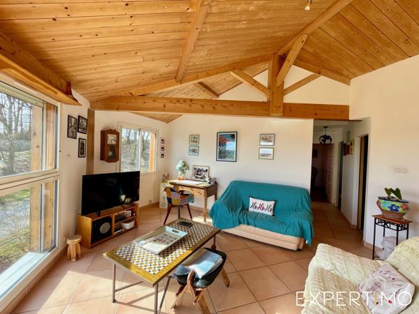 Tauriac (81630) Maison bois avec magnifique vue et ses 6210 m² de terrain