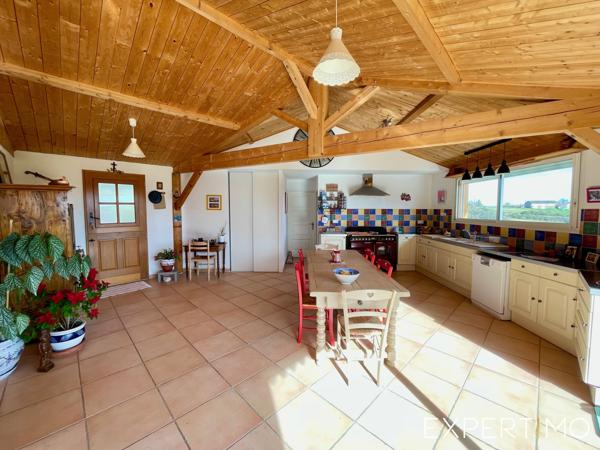 Tauriac (81630) Maison bois avec magnifique vue et ses 6210 m² de terrain