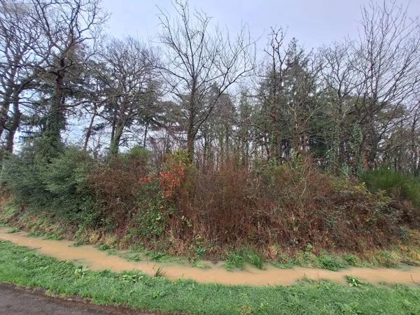 Achat - Terrain de loisirs, bois, étangs Néant-sur-Yvel 56430 13400 m 2