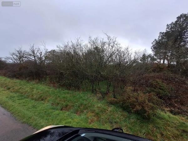 Achat - Terrain de loisirs, bois, étangs Néant-sur-Yvel 56430 13400 m 2